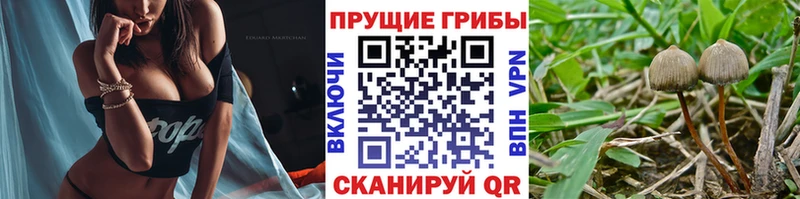 Псилоцибиновые грибы Psilocybe  наркотики  это формула  Малмыж 